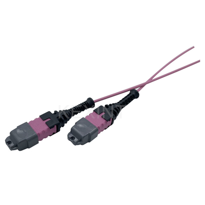 KEXINT FTTH MTP PRO OM4 12-żyłowy światłowodowy kabel krosowy 2M typu B